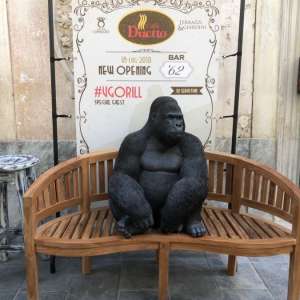 Caffè Duetto BAR 62 Foggia - Gorilla Kare 